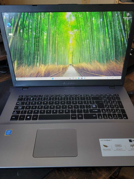 Laptop Asus S533f 17,3 " Intel Pentium Gold 8 GB / 256 GB + Windows11