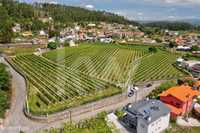 Barcelos | Terreno com 3,3ha com vinha e possibilidade de construção