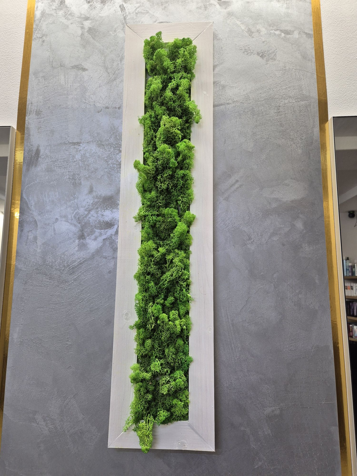 Mech chrobotek w ramce 90cm x 20cm