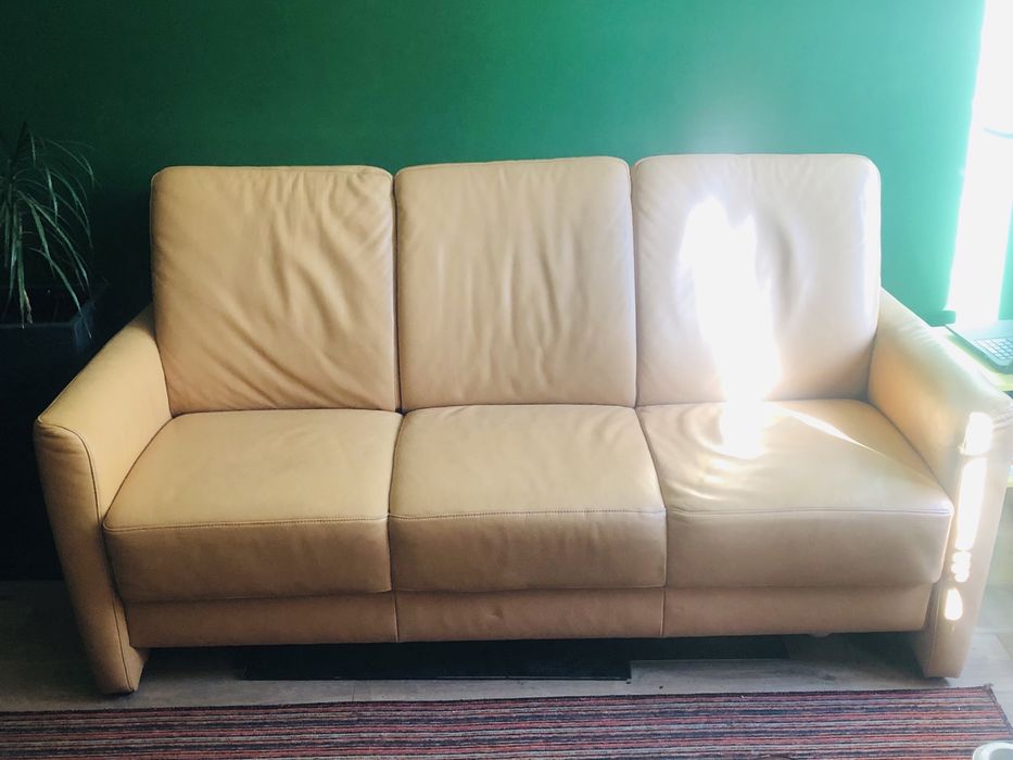 Шкіряний диван нерозкладний