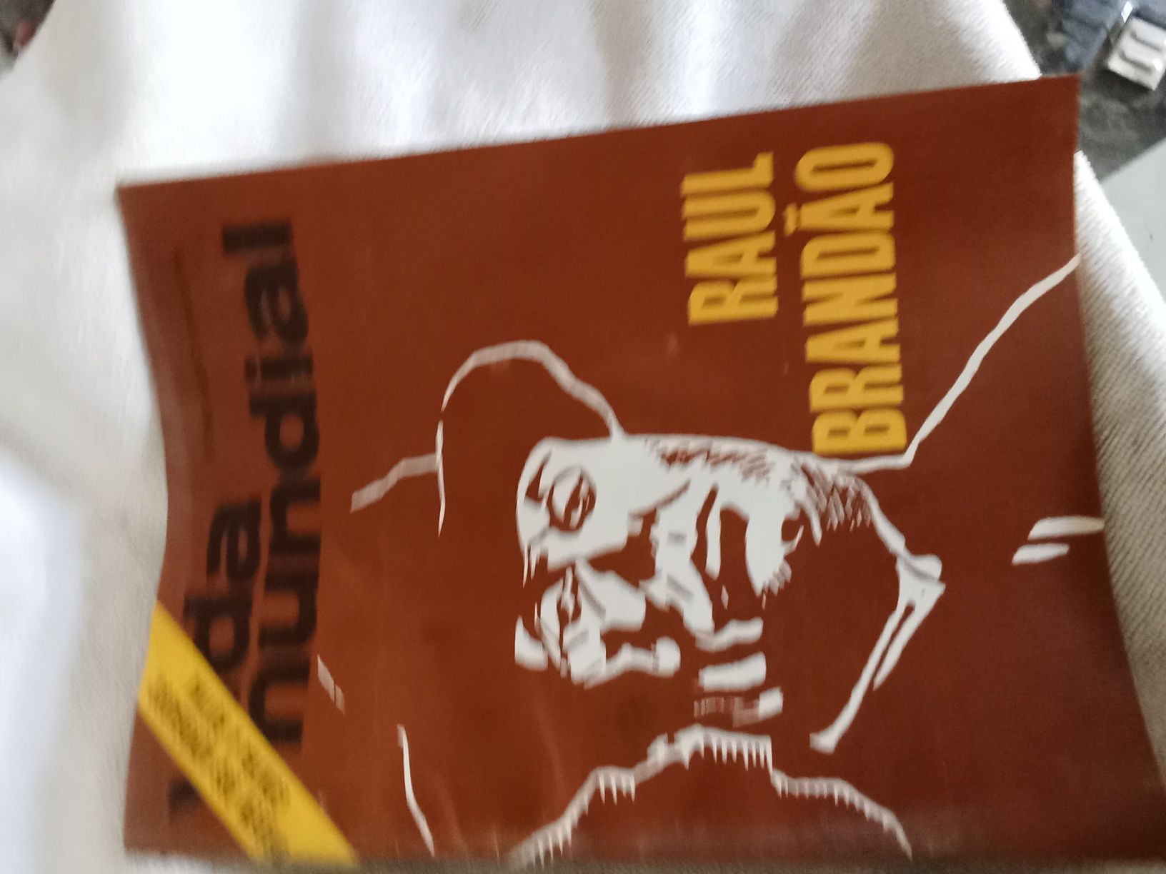 Revista vida mundial