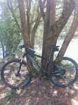 Cannondale trail 3