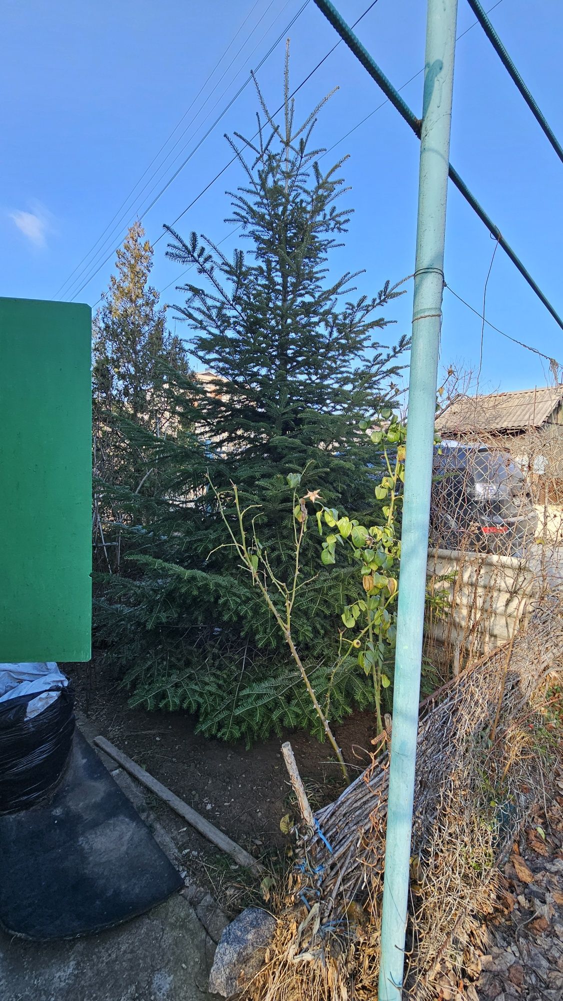 Продам Дачу на Вырве в Супер месте в Лучшем кооперативе от Собственник