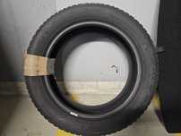 Opony Falken Eurowinter HS02 PRO 225/55 R19 103 V XL