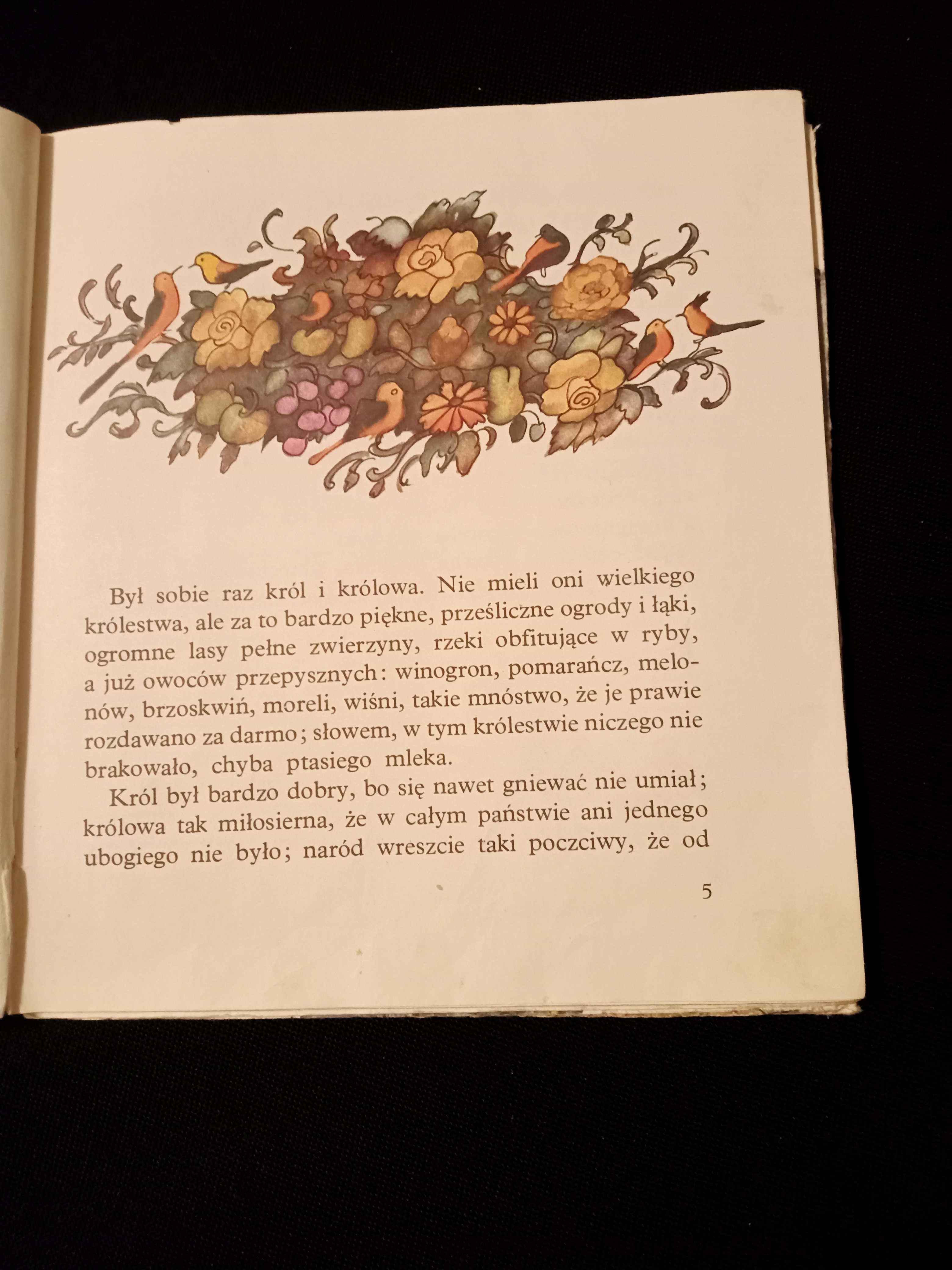 "Księżniczka głogu" Anczyc