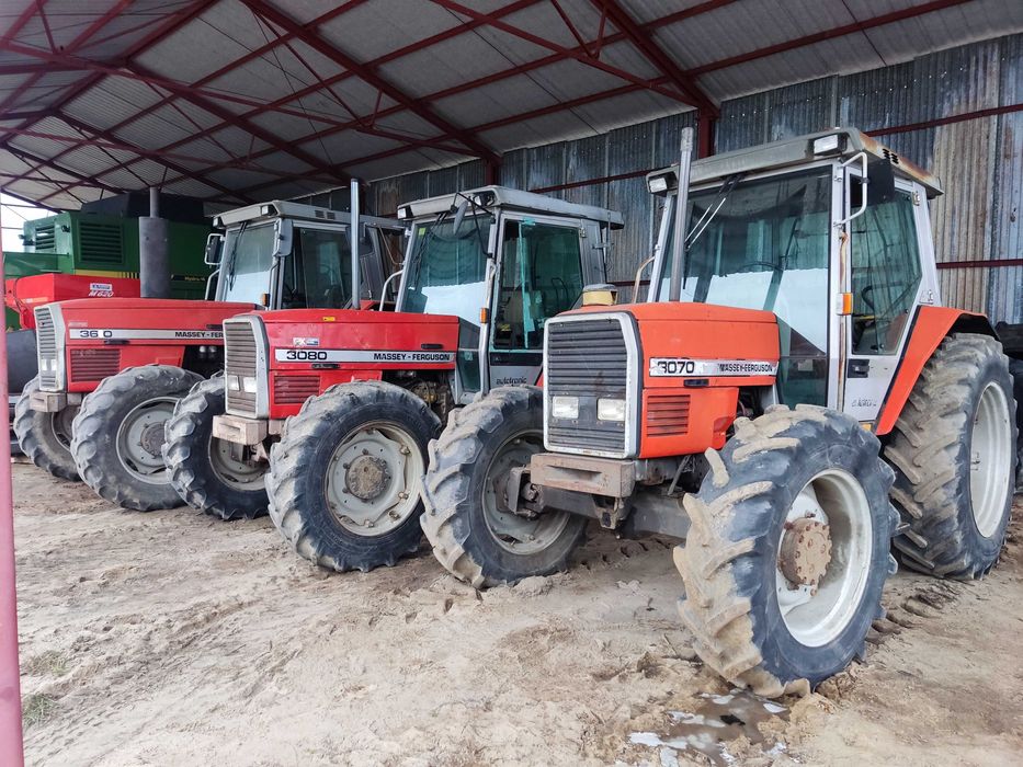 ciągnik rolniczy massey ferguson 3070 tur // 3080 tur