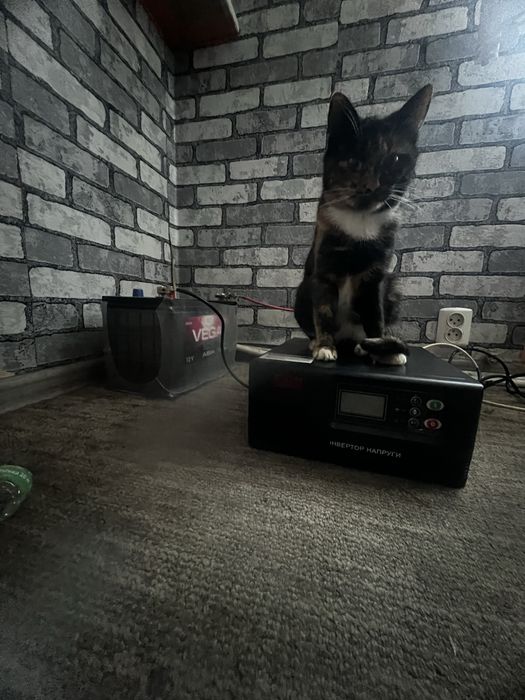 Продам інвектор з акумулятором