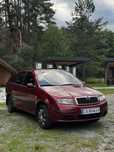 Skoda Fabia 2007 газ/бенз
