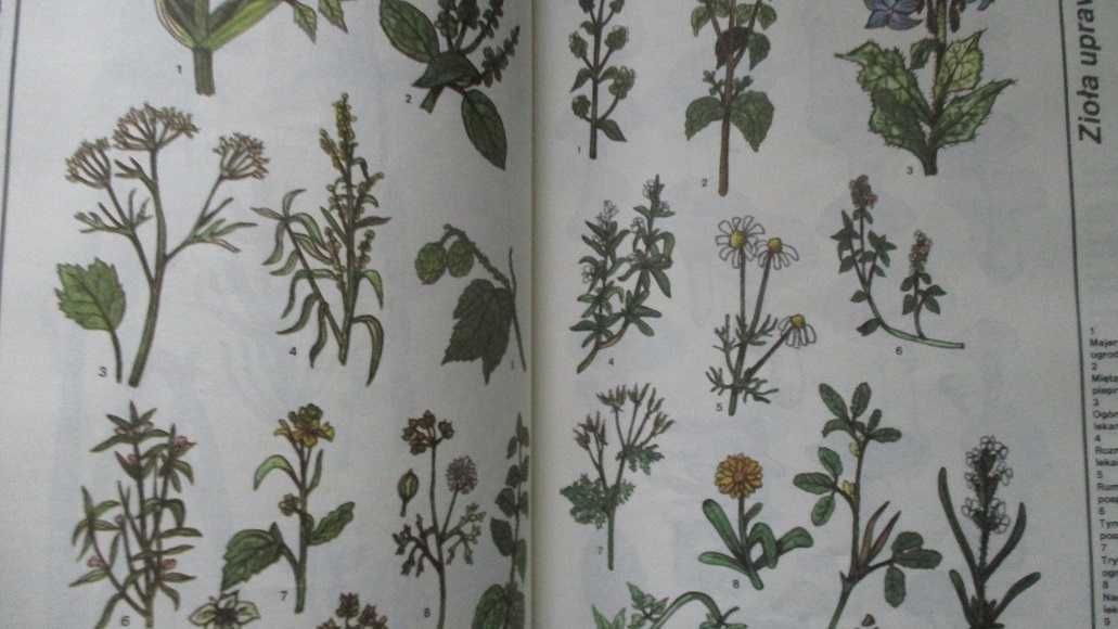Zrób Sam - Vademecum/poradniki/majsterkowanie/hobby/dom/ogród
