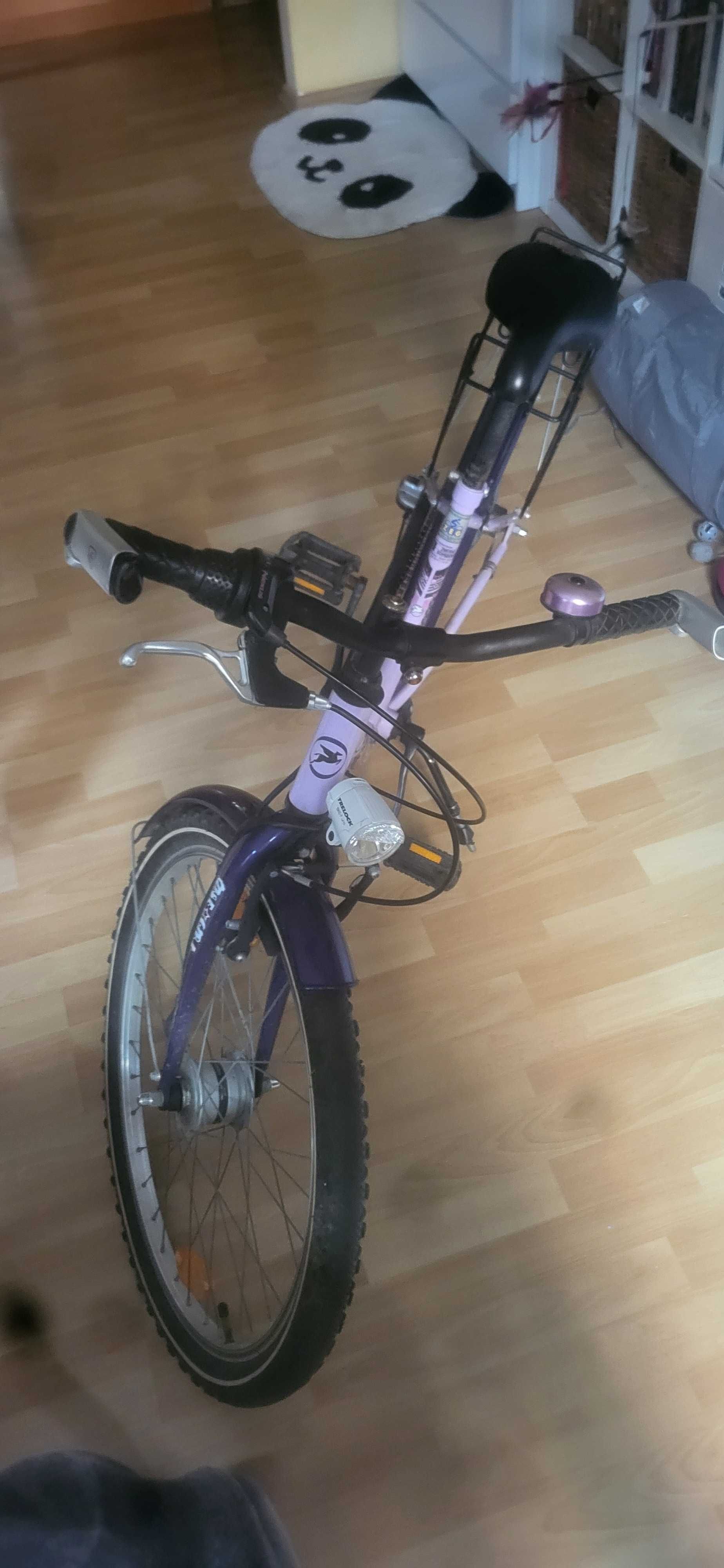 Rower Pegasua koła 24