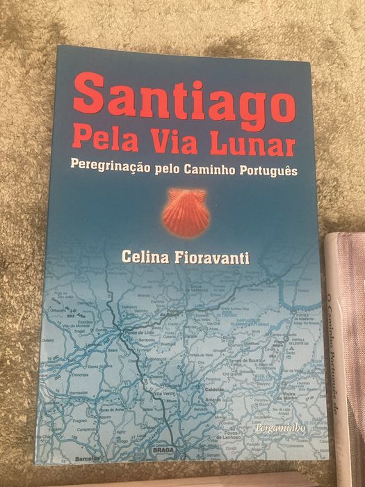 Vários livros sobre Caminho de Santiago