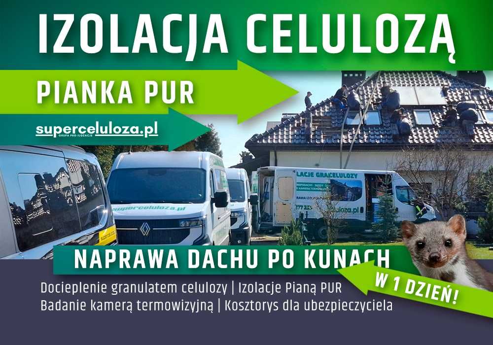 Ocieplenie poddasza | Wdmuchiwanie celulozy | Piana PUR | Kuny naprawa