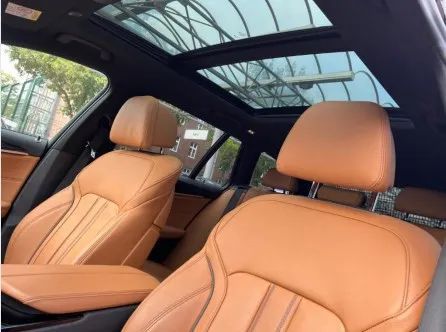 BMW 530 e Line Luxury