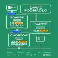 Bilet na koncert Dawida Podsiadło 2.06.2024 Gdańsk