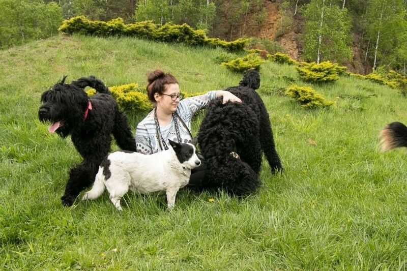 Opieka nad Psem, Kotem, Wyprowadzanie Psów | Certyfikowany petsitter