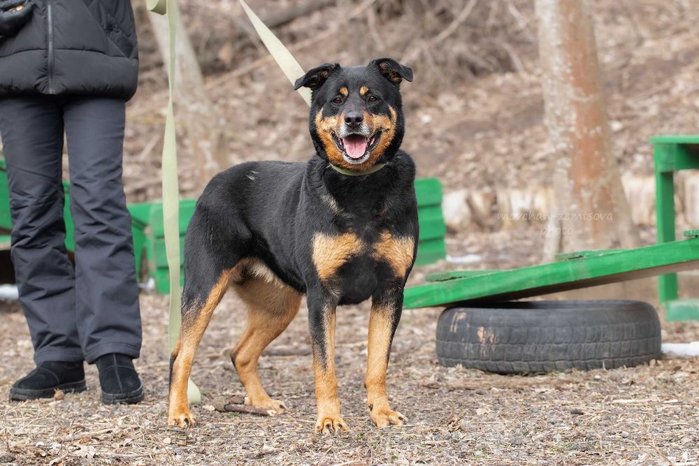 Шикарна Джес шукає родину