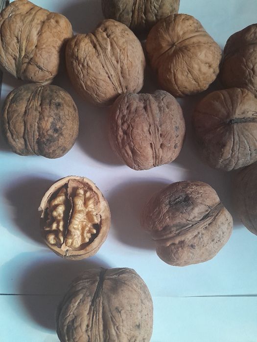 Продаётся грецкий орех
