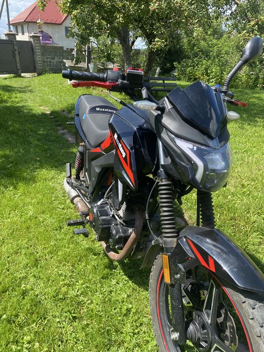 Musstang Region MT250