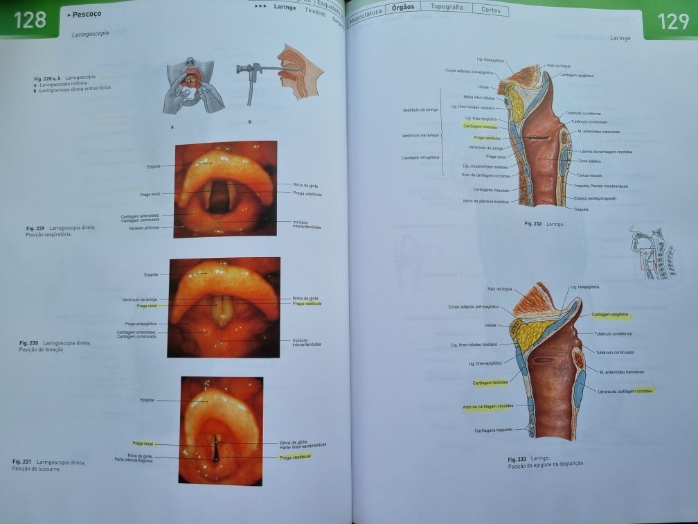 Livro SobotLivro Atlas de Anatomia Humana 22.° edição