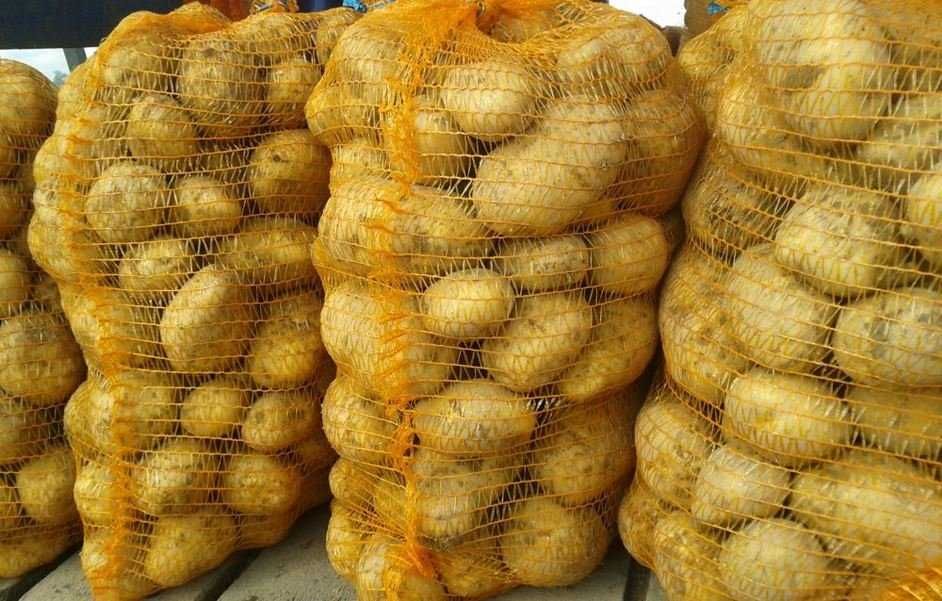 Ziemniaki wielkości sadzeniaka, grube różne odmiany