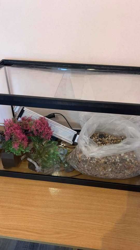 Aquario 60L com acessórios