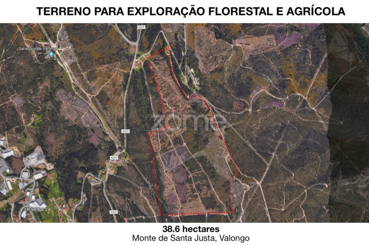 Terreno para exploração florestal e agrícola - Santa Justa, Valongo