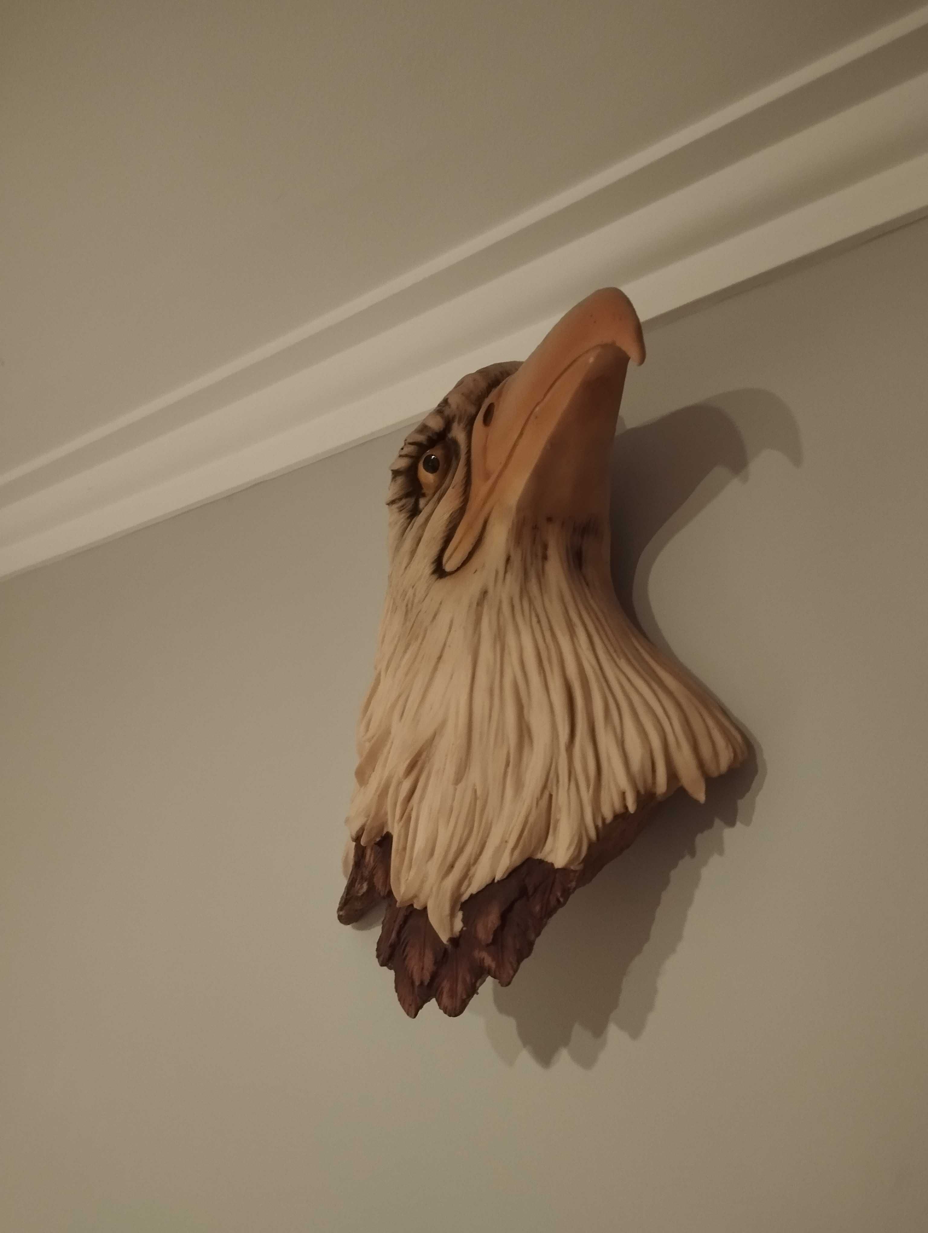 Cabeça de águia para parede