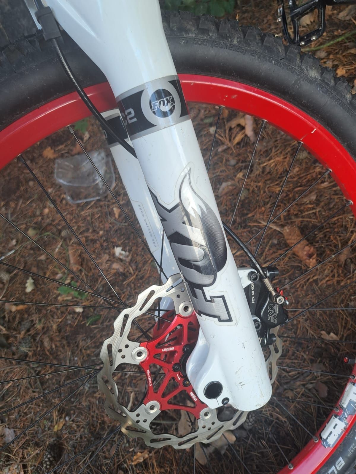 Canyon Torque Frx downhill Mountainbike