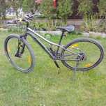 Rower Trek damski