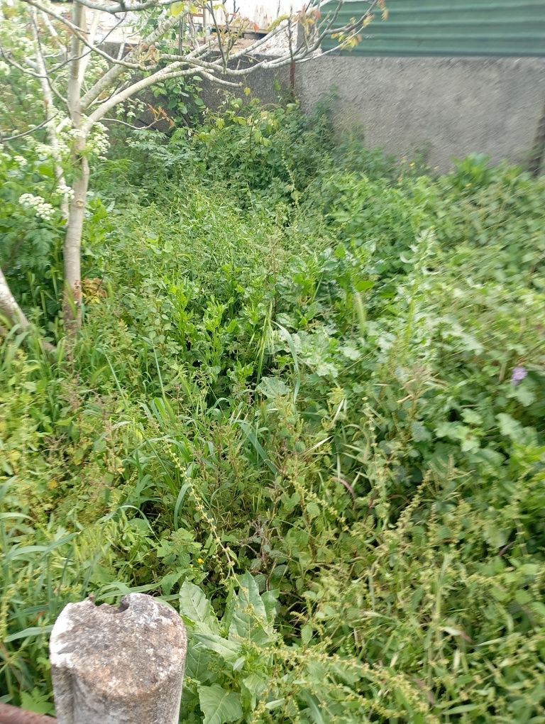 Limpeza de terrenos orçamentos grátis