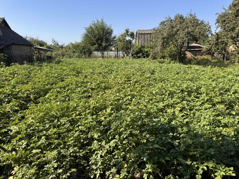 Продаж будинку в Козятині