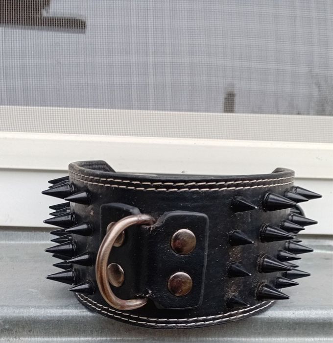 Ошейник с шипами