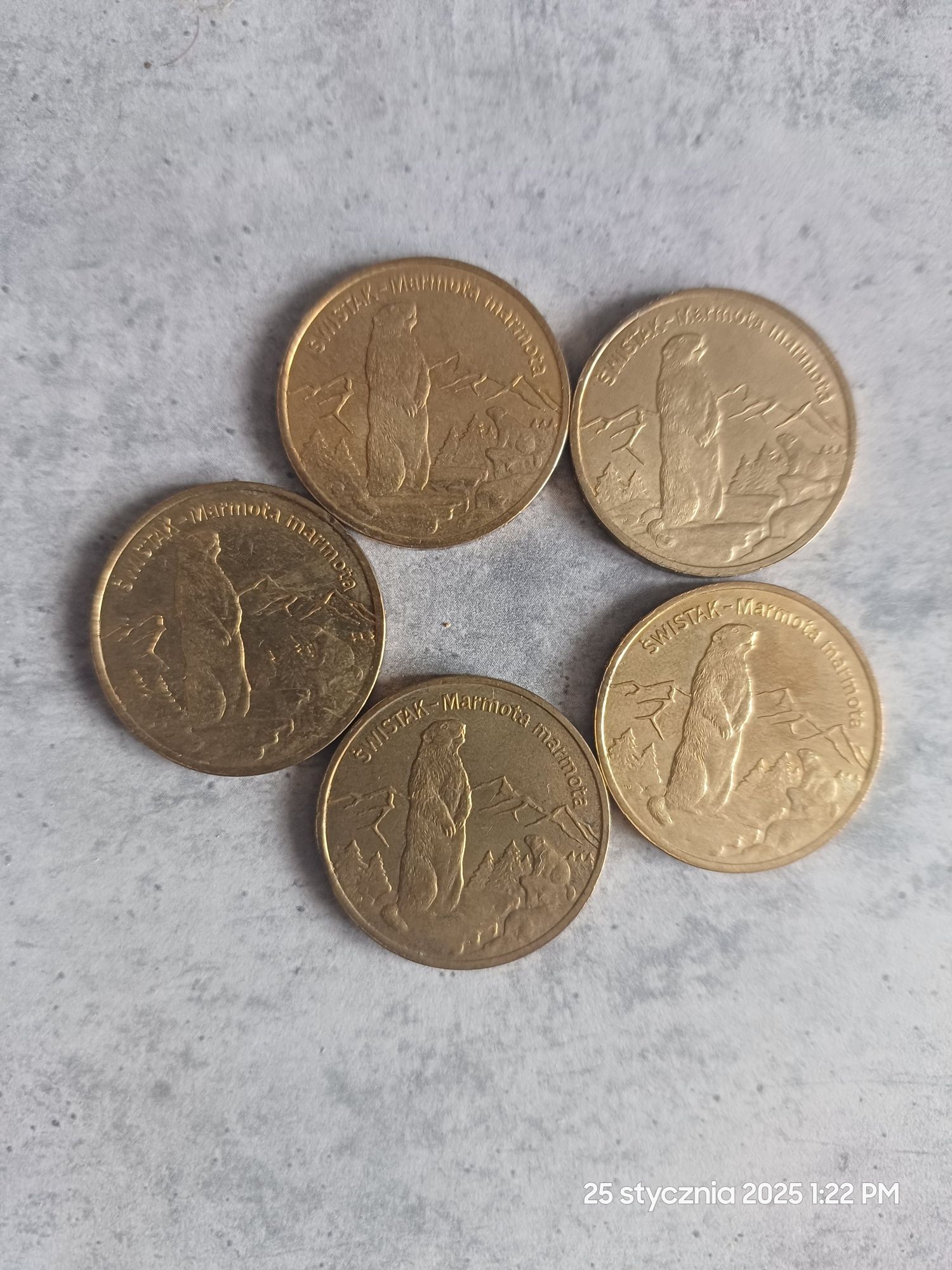 Monety okolicznościowe 2 zł Świstak 2006 rok 5 sztuk