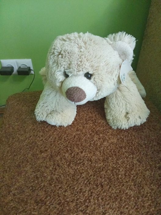 М'який новий мішка