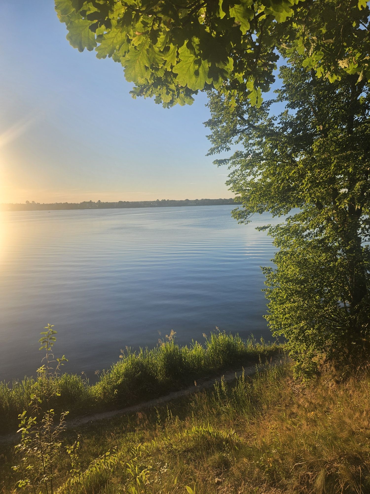 Wynajmę  Bajkowy  Domek nad Zalewem Zemborzyckim ROŚLINNA 82 Lublin