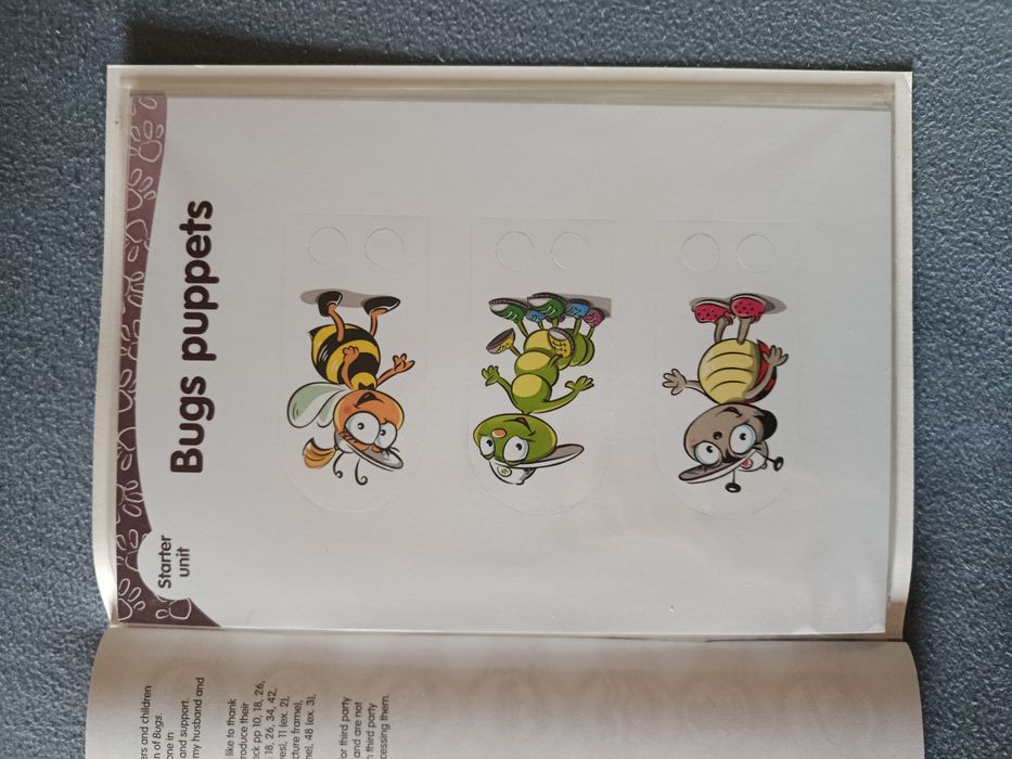 Nowy Bugs Team Starter karty pracy