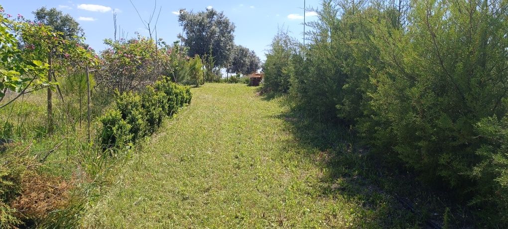 Terreno excelente para um Retiro