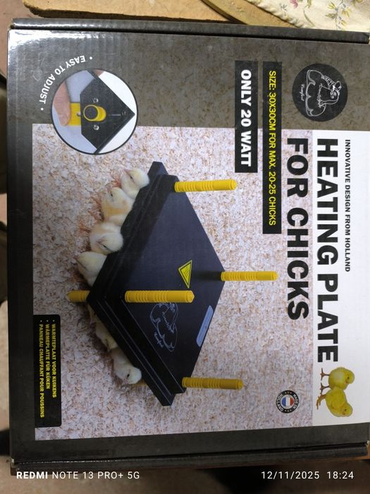 Placas aquecimento para pintos