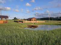 Wynajmę domek na farmie