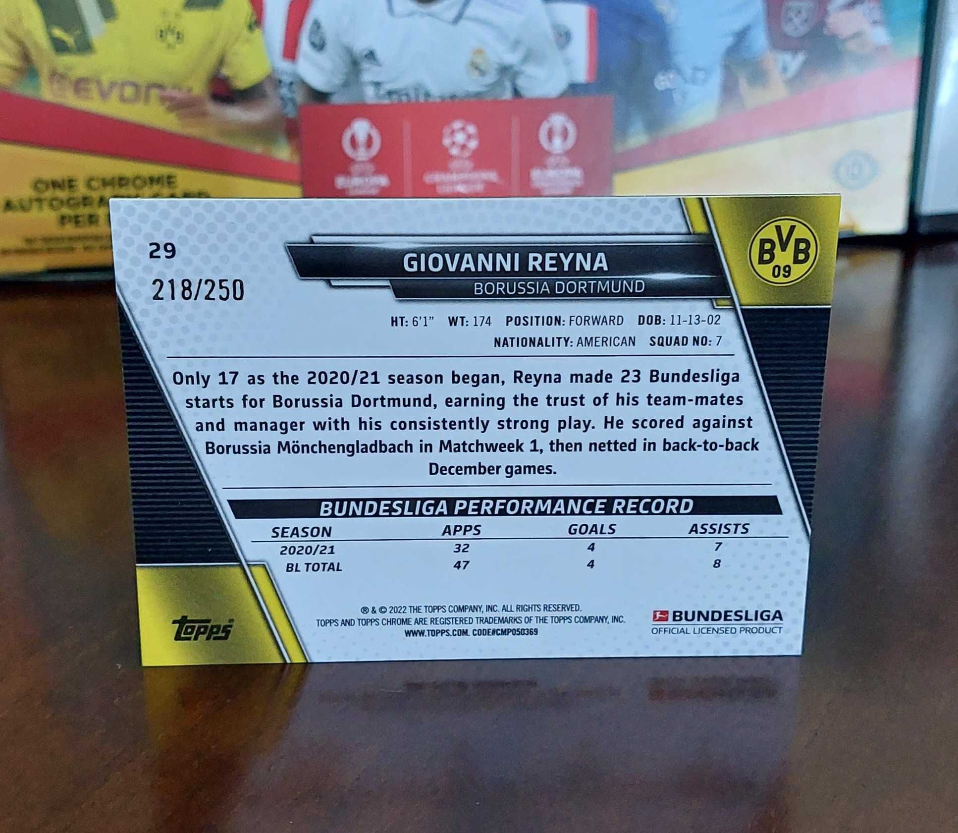 Giovanni Reyna - Borussia Dortmund