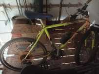 Conjunto de 3 Bicicletas