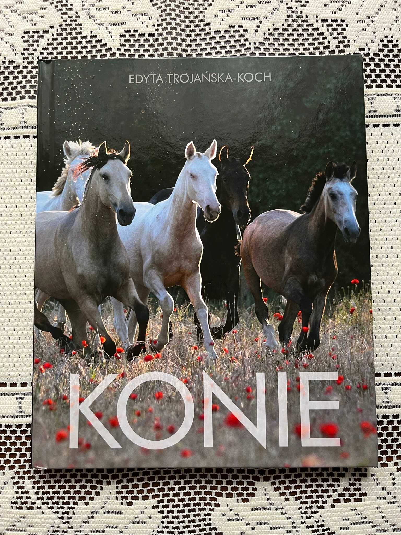 Książka Konie - Edyta Trojańska-Koch