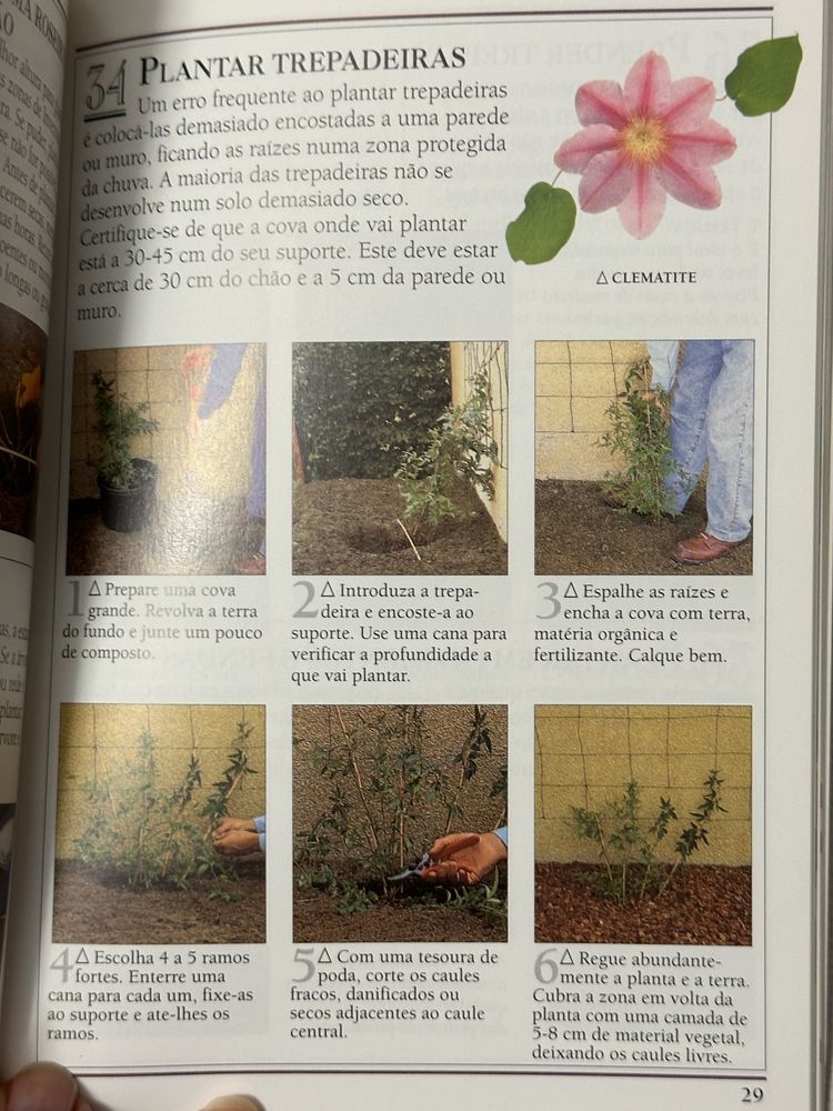 Três livros sobre plantas e jardinagem