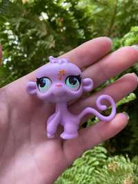 LPS Littlest pet shop małpka #2872