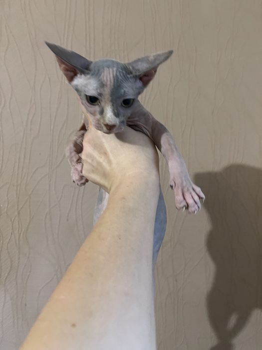 Неймовірна неземна красота