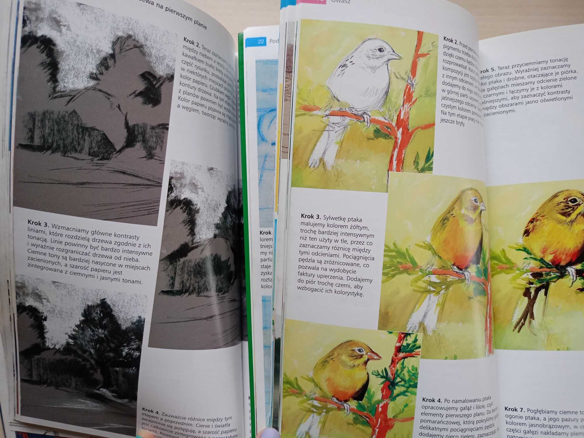 Komplet książek, kursy, Rysowanie i Malowanie