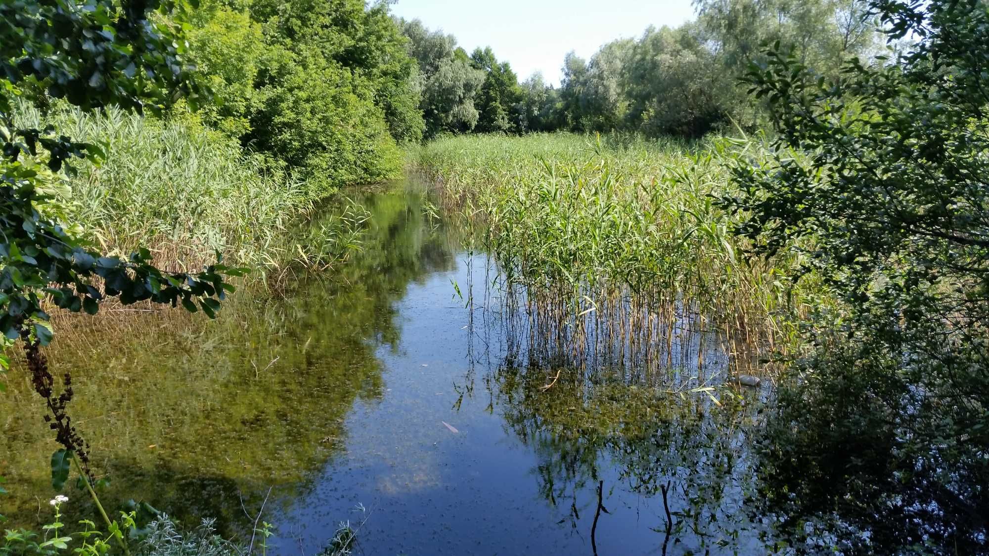 Дача 17км від Черкас