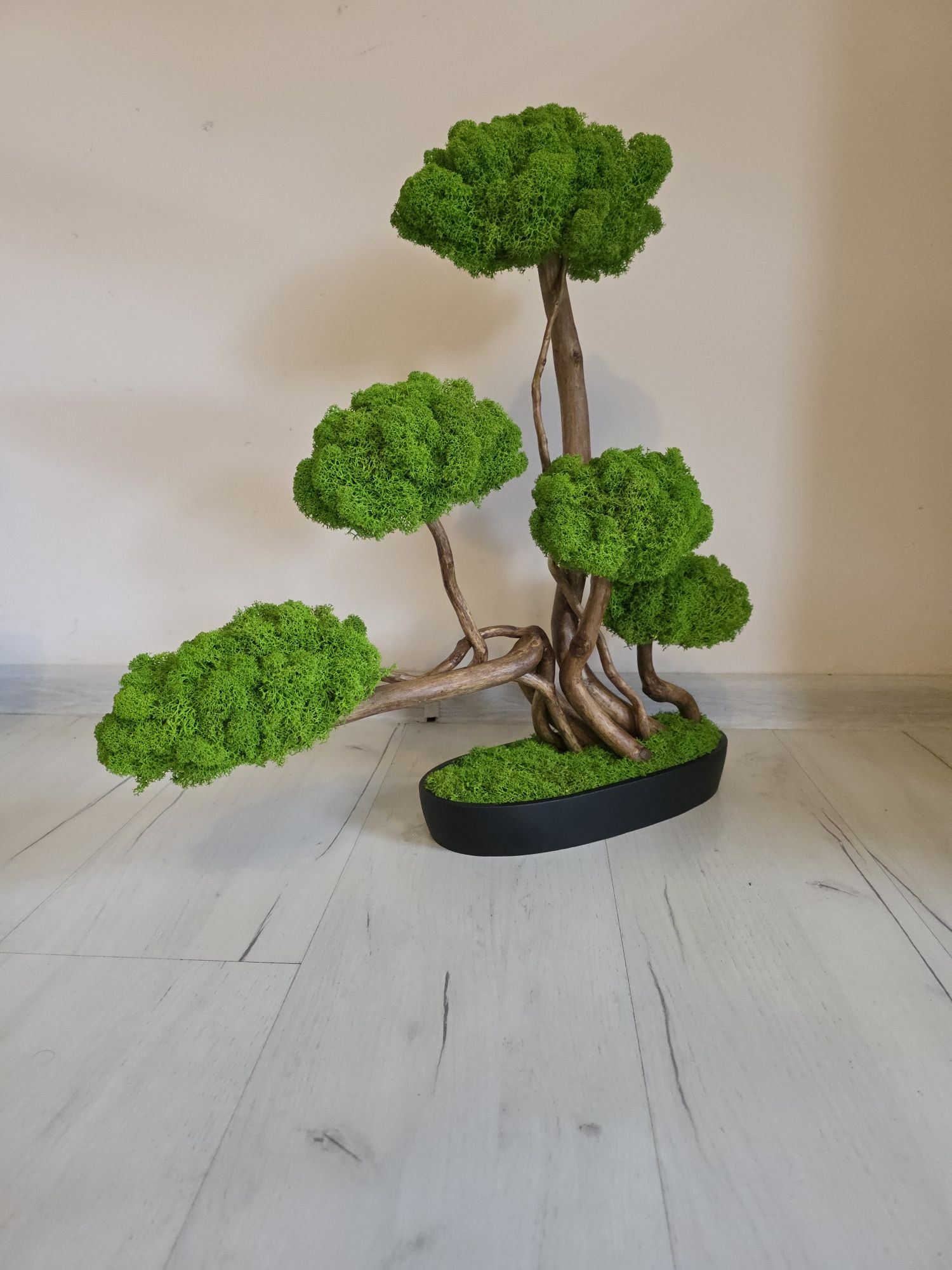 Drzewko bonsai Duże 50 cm.Mech Chrobotek. Dekoracje wnętrz. Prezent .