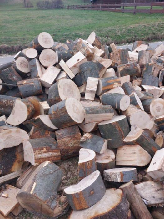 Drewno opałowe i kominkowe – Dąb, Buk, Grab, Brzoza, Sosna, Olcha,