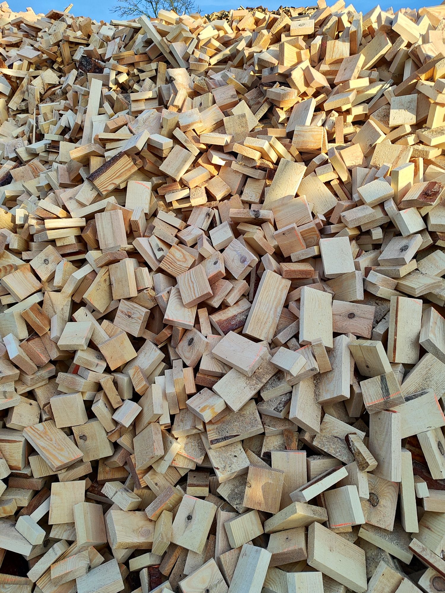 Drewno suche rozpałka